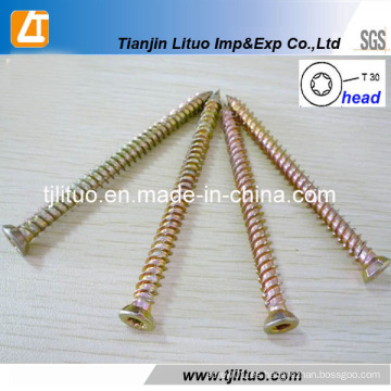 Torx-30 Head Concrete Screws en existencia